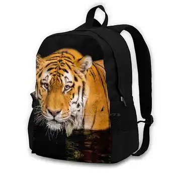 Рюкзаки Tiger для мужчин, женщин, подростков, девочек, сумки Tiger Cat, Азия, Сибирь, большие кошки-убийцы, Лев, тропический лес, Дикая вода